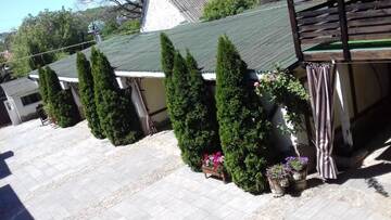 Фото номера Двухместный номер с 1 кроватью Мини-отель Guest yard Vivat г. Velikodolinskoye 10